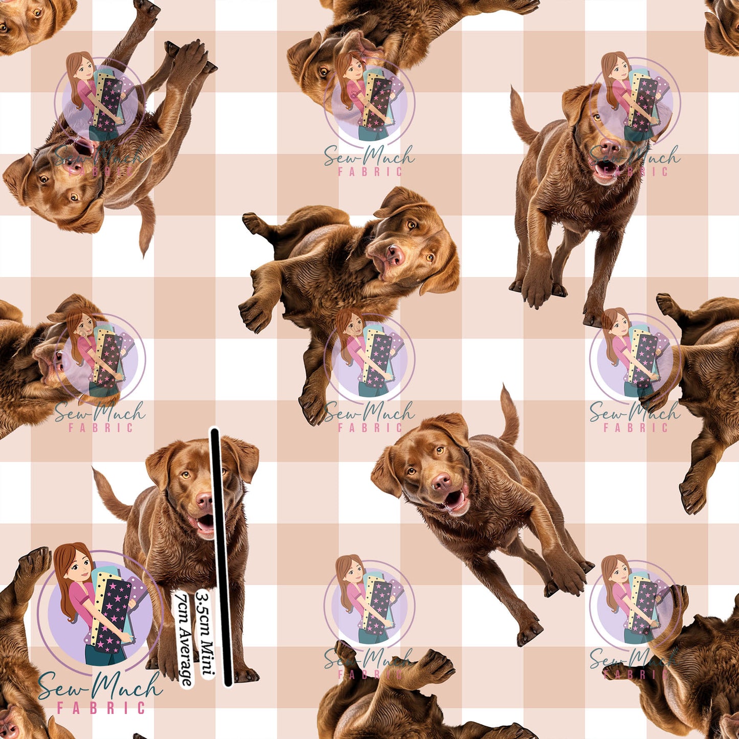 JULY Pre-Order (1): Chesapeake Bay Retriever Gingham