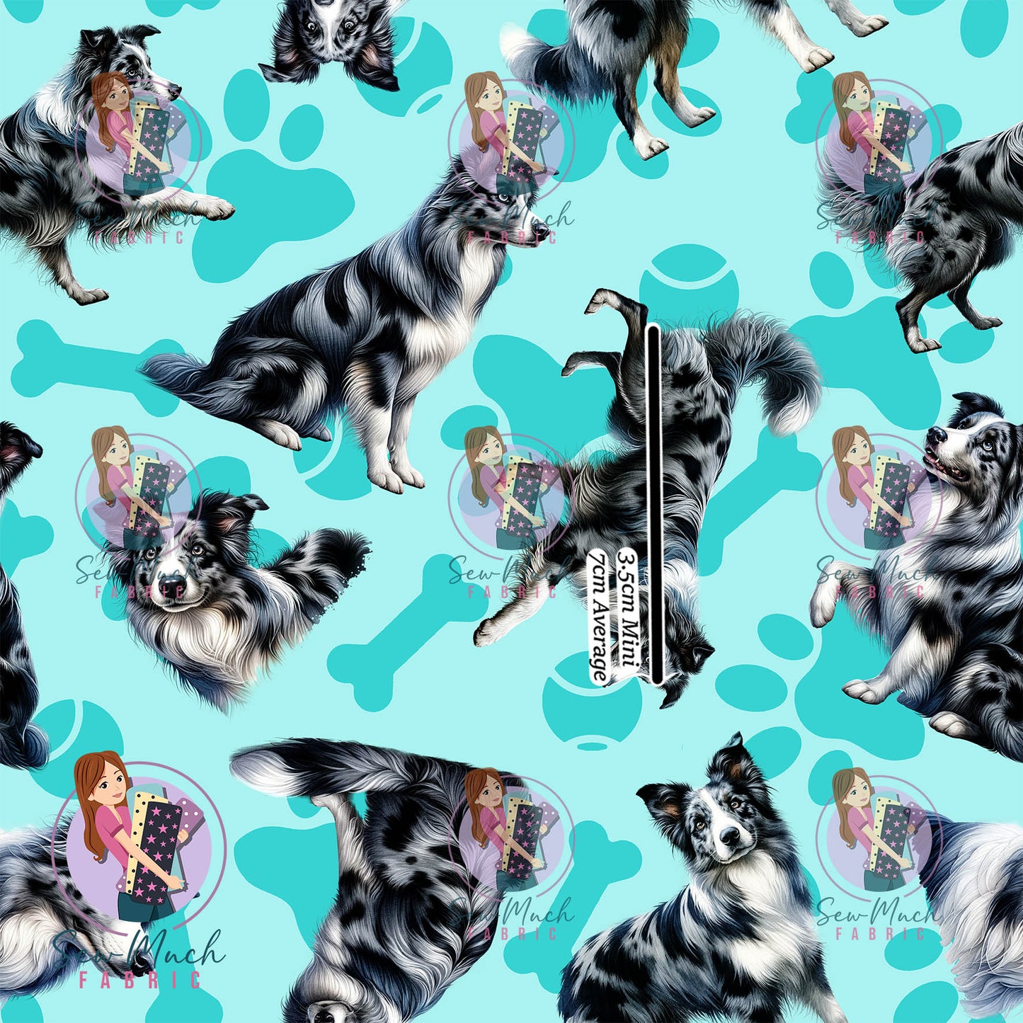 AUGUST Pre-Order (2): Blue Merle Border Collie Teal