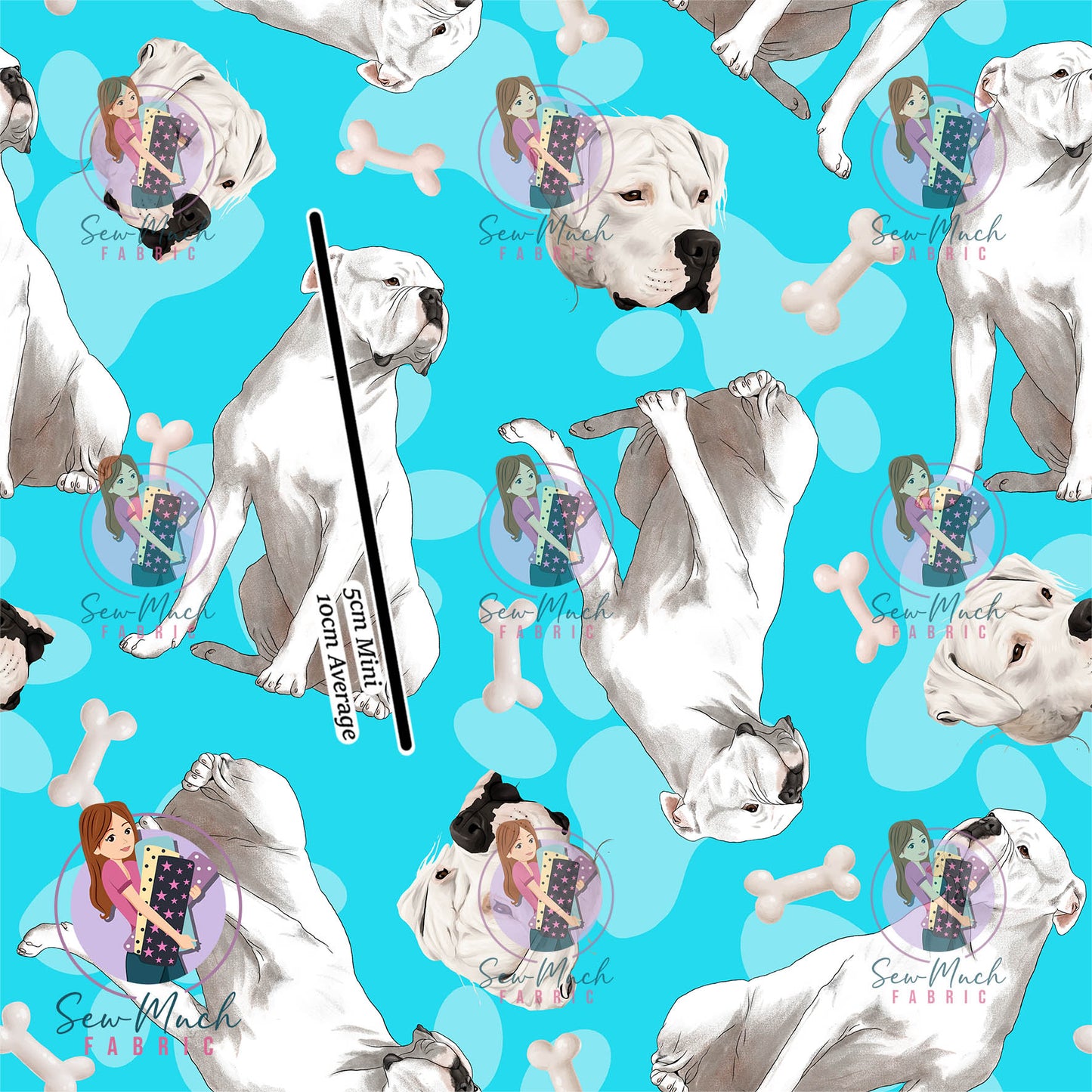 JUNE Pre-Order (2): American bulldog Blue