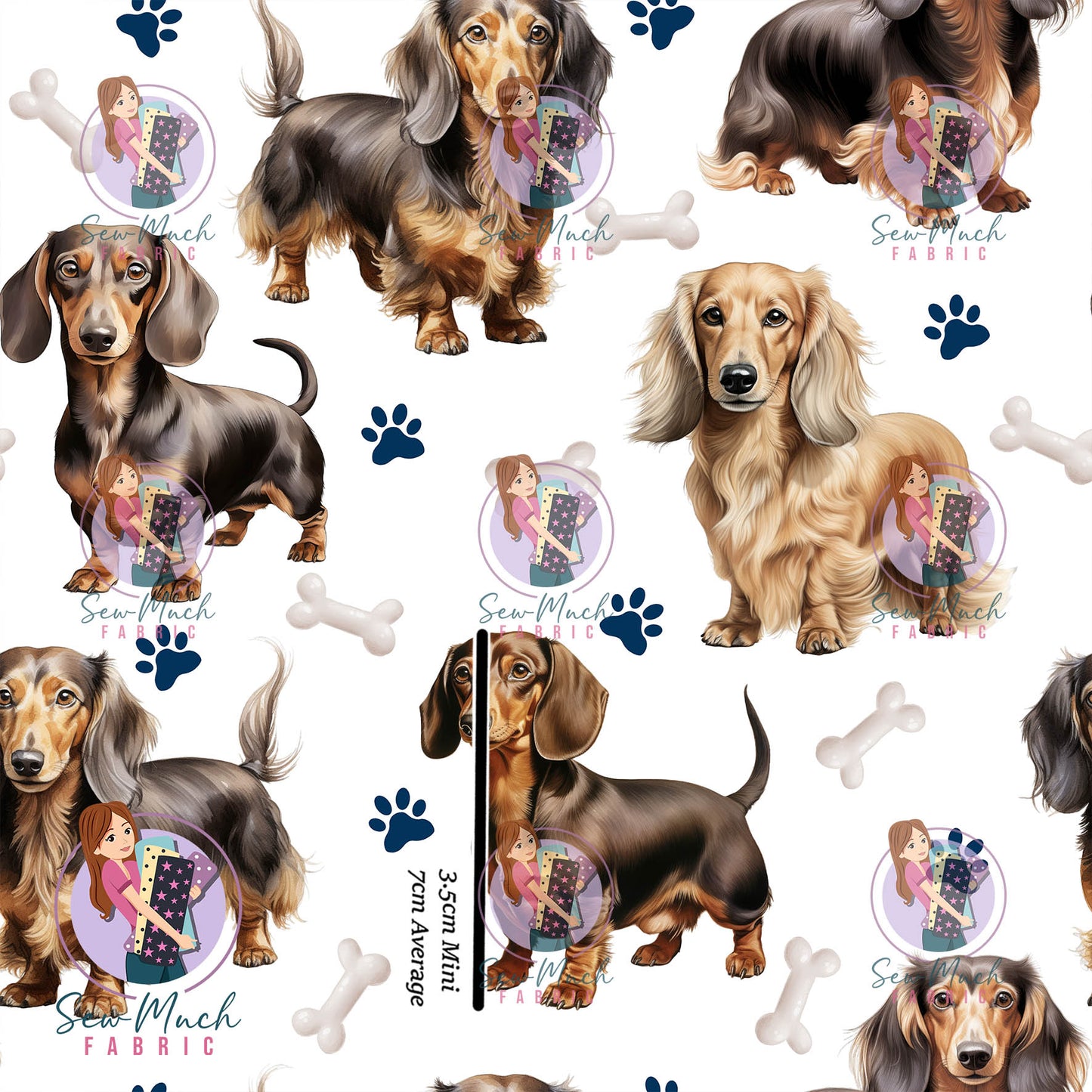 JULY Pre-Order (1): Dachshunds