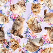 Load image into Gallery viewer, Exotic Shorthair FLORAL | Pre-Order |