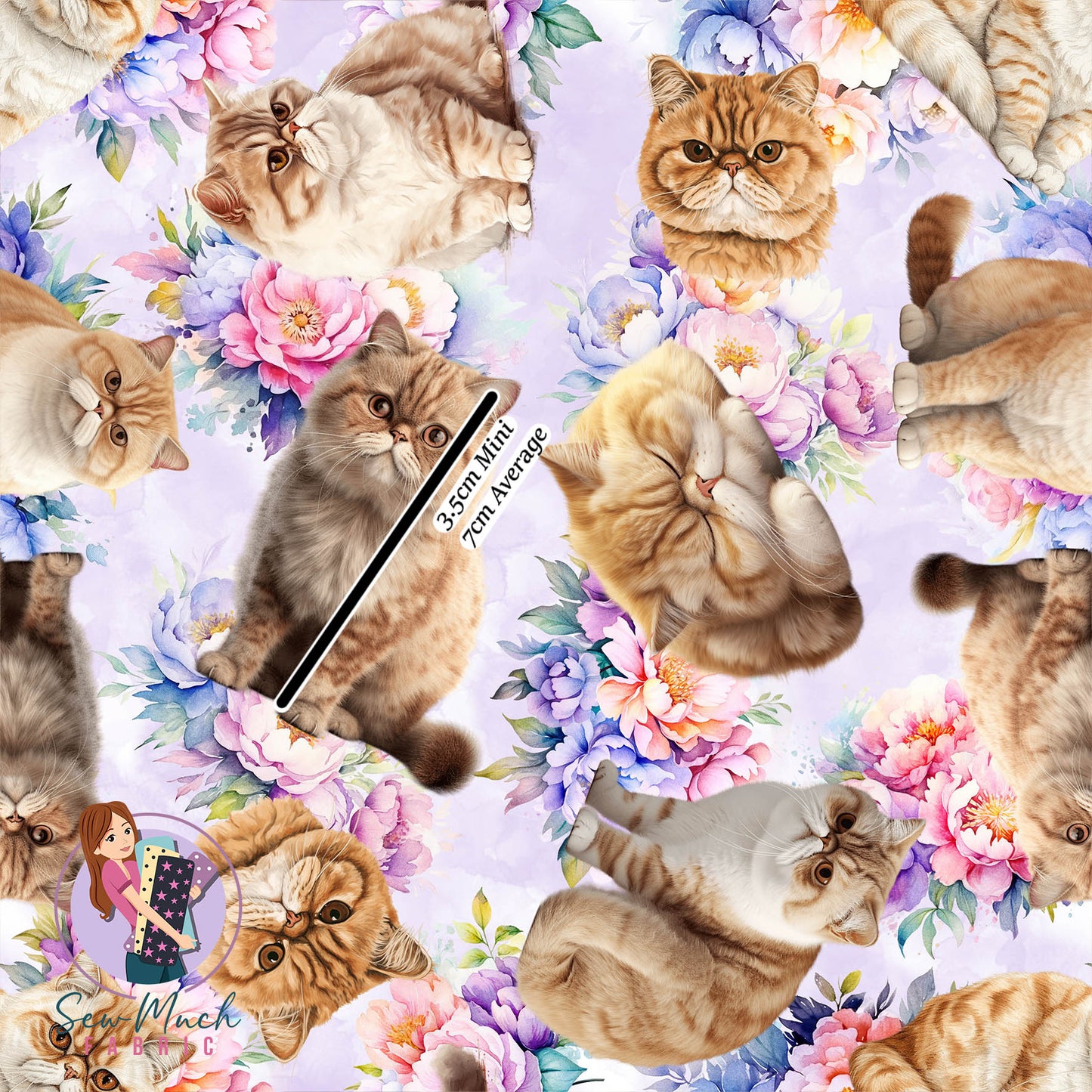 Exotic Shorthair FLORAL | Pre-Order |