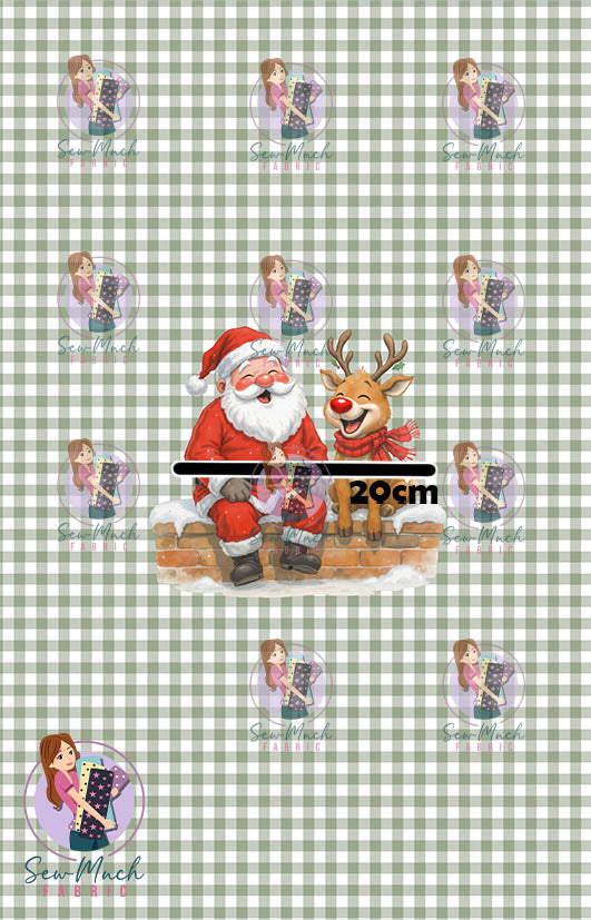 CHRISTMAS Pre-Order: Fun Times Gingham PANEL