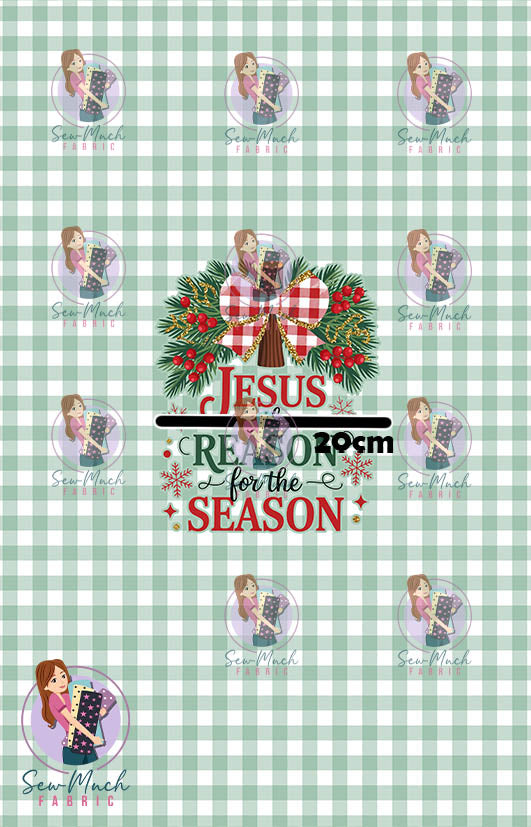 CHRISTMAS Pre-Order: Reason for the Season PANEL