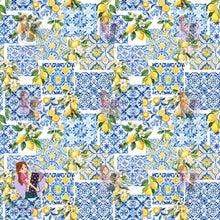 Load image into Gallery viewer, Lemons | Canvas | Retail | Average Scale