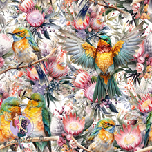 Load image into Gallery viewer, Unlimited Pre-Order: Merops Ornatus