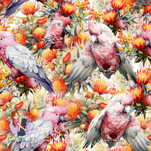 Load image into Gallery viewer, Unlimited Pre-Order: Galah