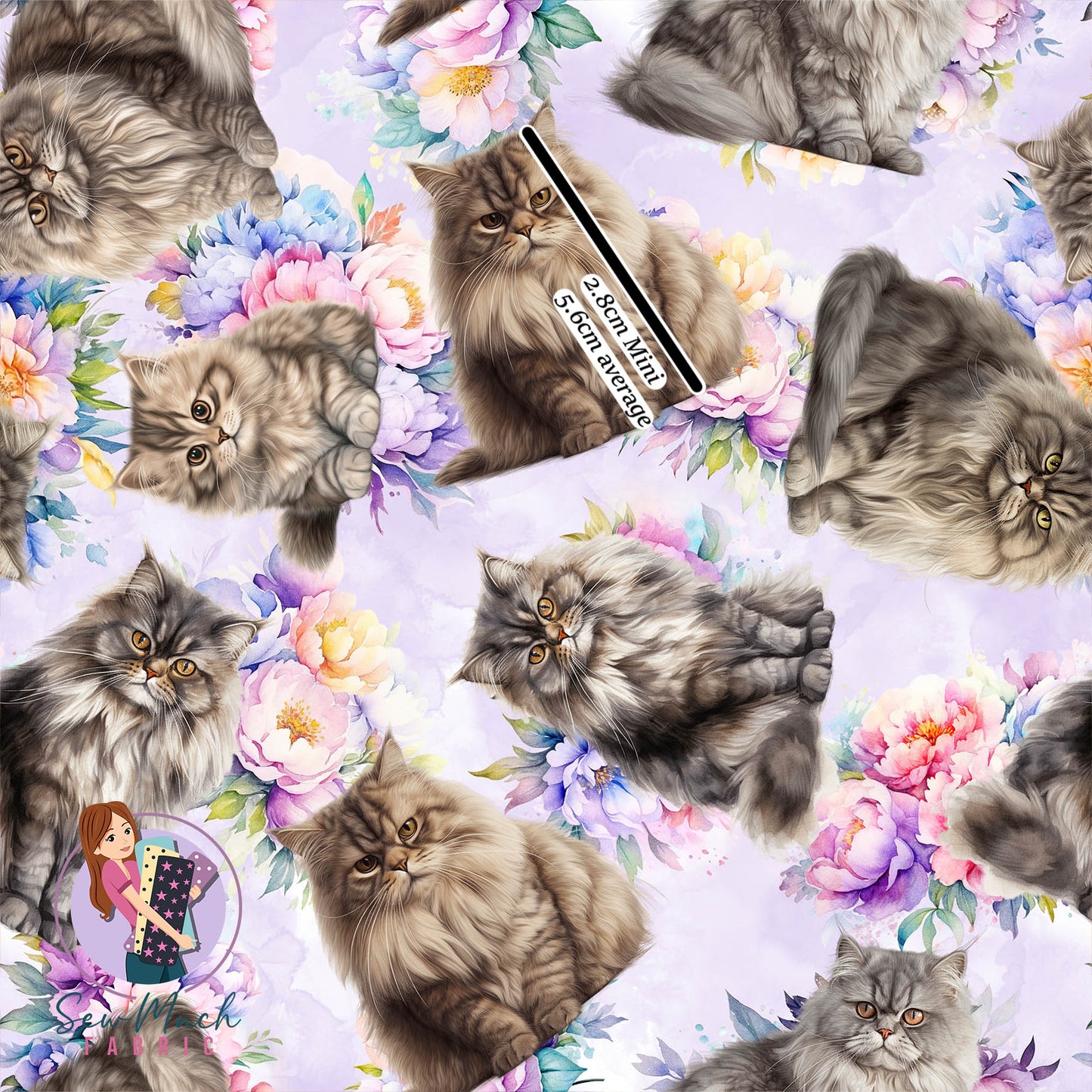 British longhair FLORAL | Pre-Order |