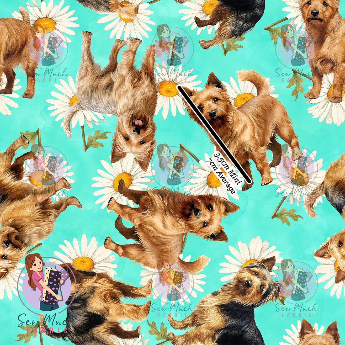Australian Terrier 2 | Pre-Order |
