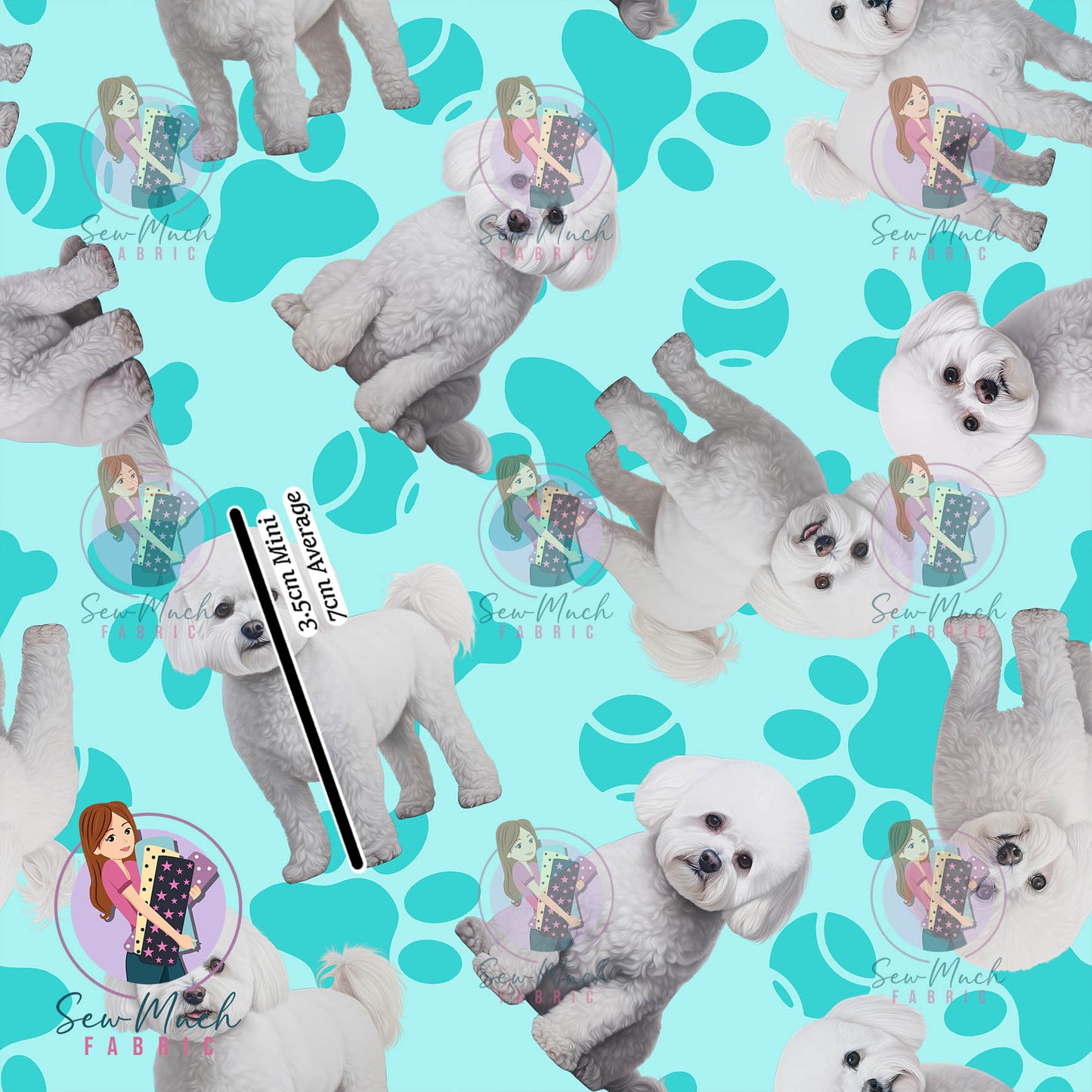 Bichon Frise 1 | Pre-Order |