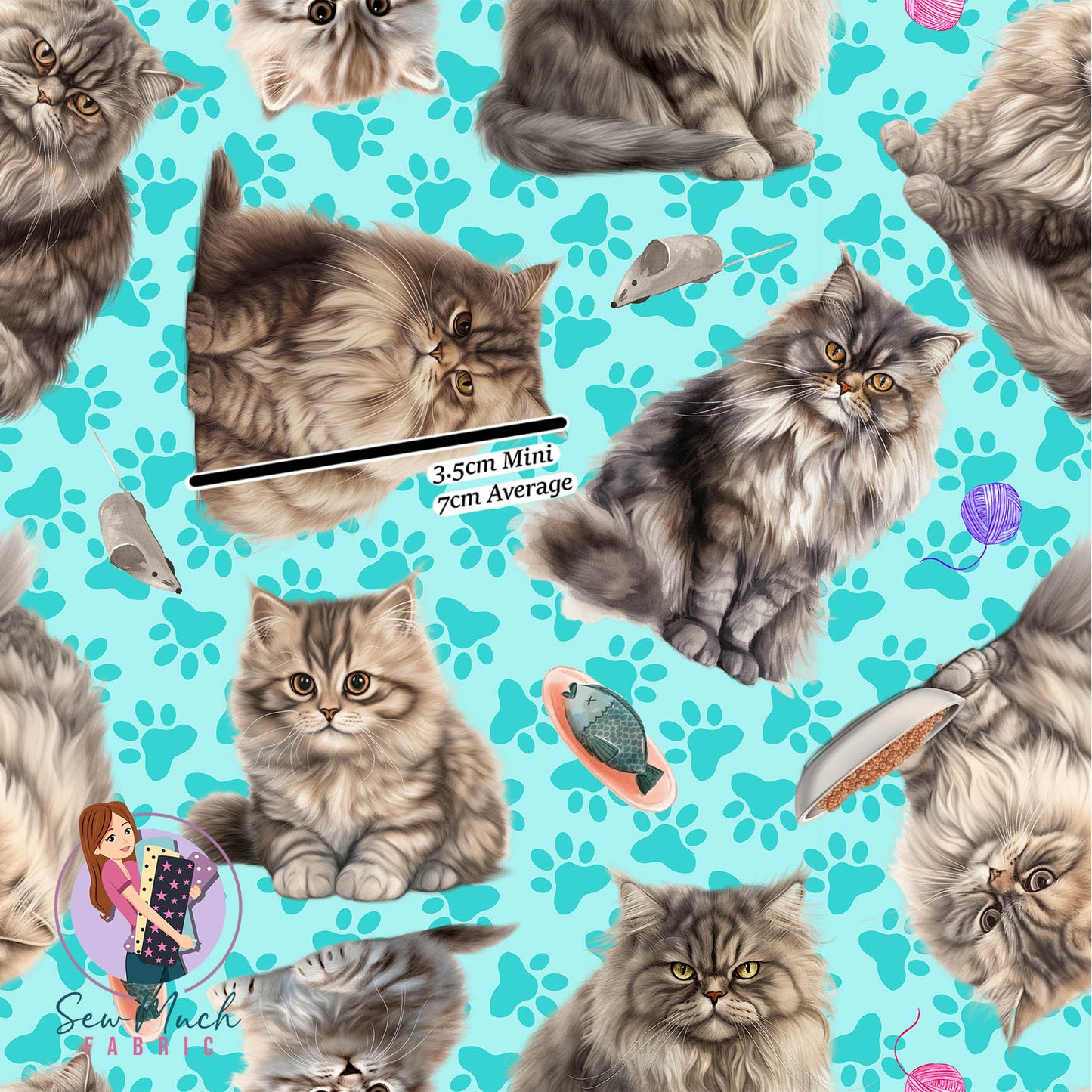 British Longhair Cat | Pre-Order |