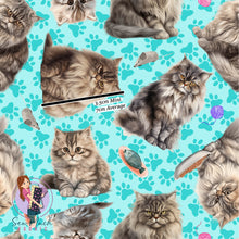 Load image into Gallery viewer, British Longhair Cat | Pre-Order |