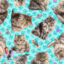 Load image into Gallery viewer, British Longhair Cat | Pre-Order |