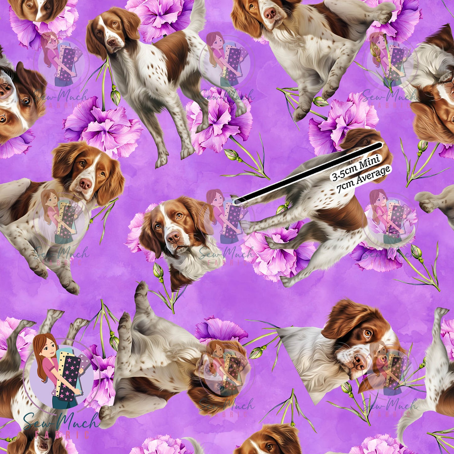 Brittany Spaniel 2 | Pre-Order |