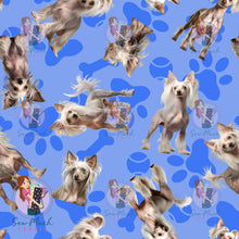 Load image into Gallery viewer, Chinese Crested 1 | Pre-Order |
