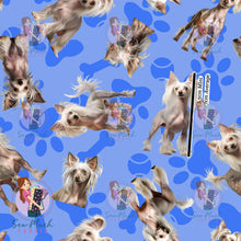 Load image into Gallery viewer, Chinese Crested 1 | Pre-Order |