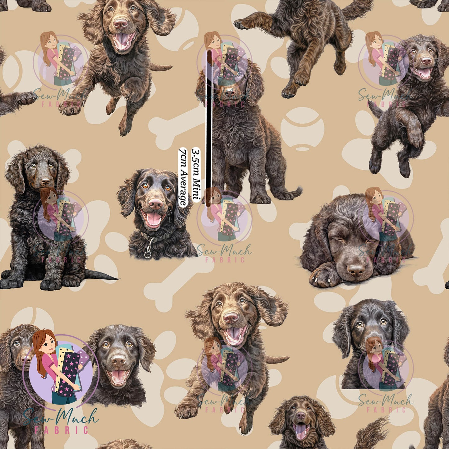 Curly Coated Retriever | Pre-Order |