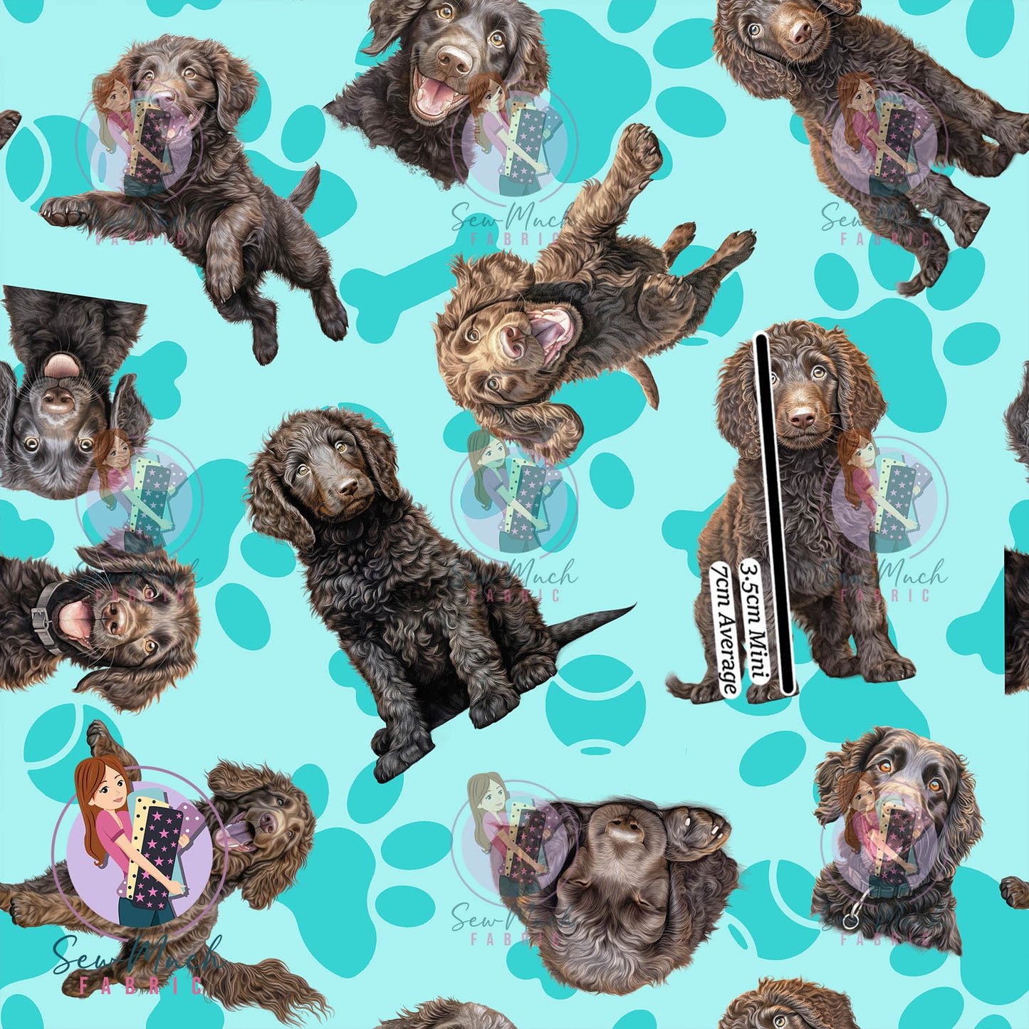 Curly Coated Retriever 1 | Pre-Order |
