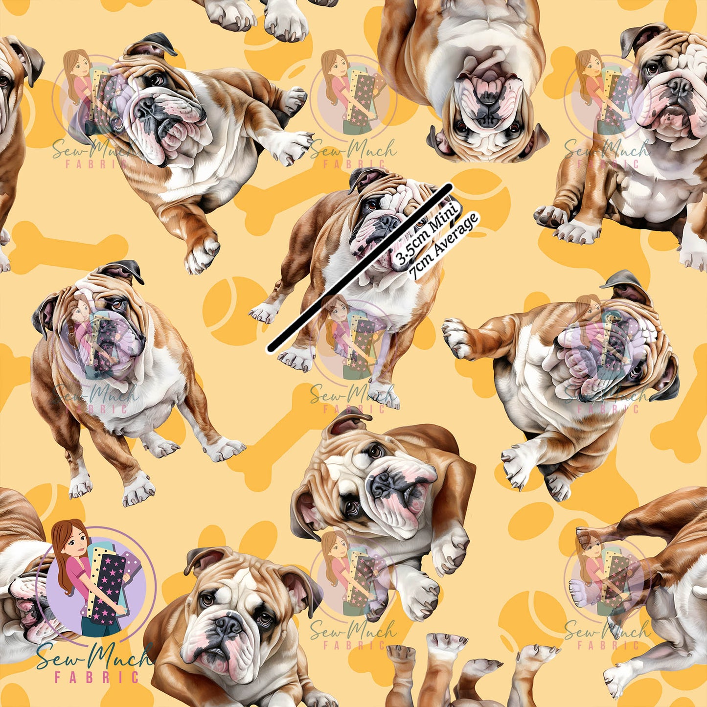 English Bulldog 1 | Pre-Order |