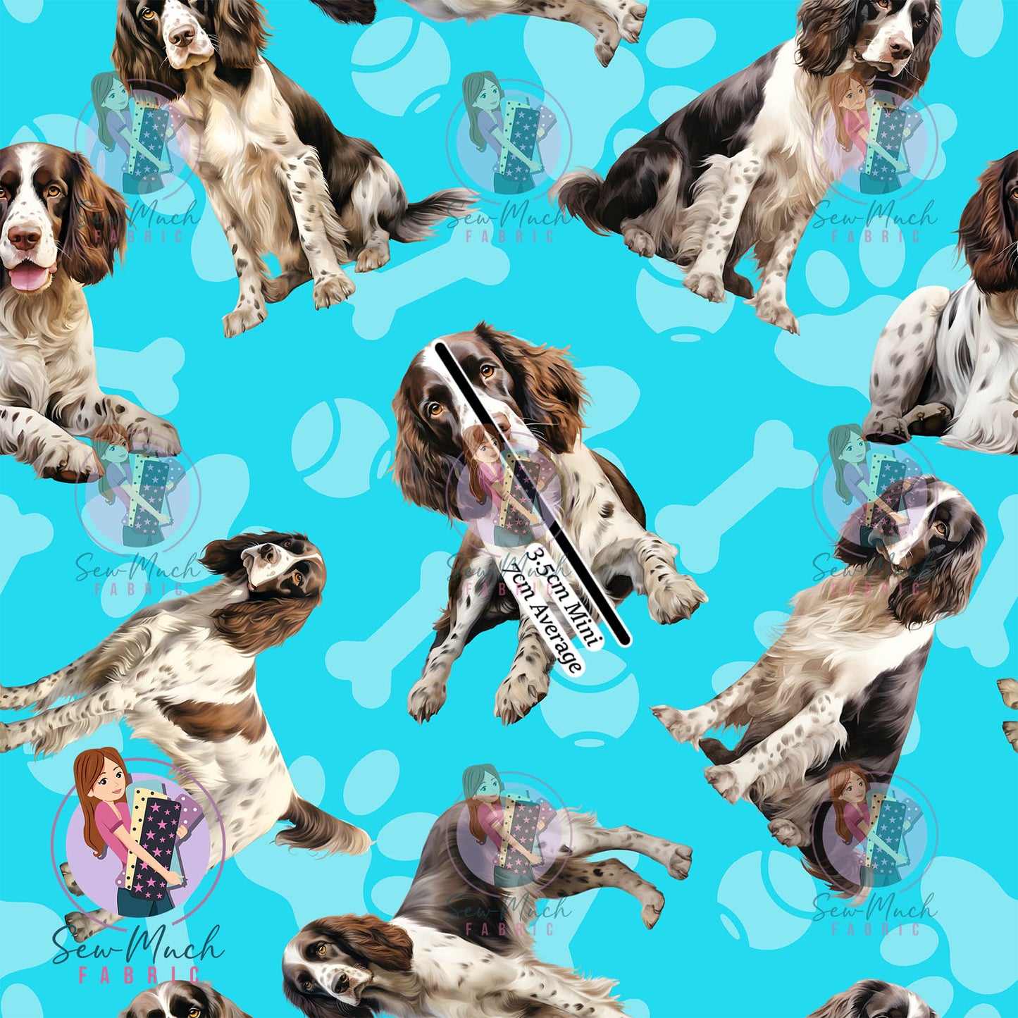 English Springer Spaniel 1 | Pre-Order |