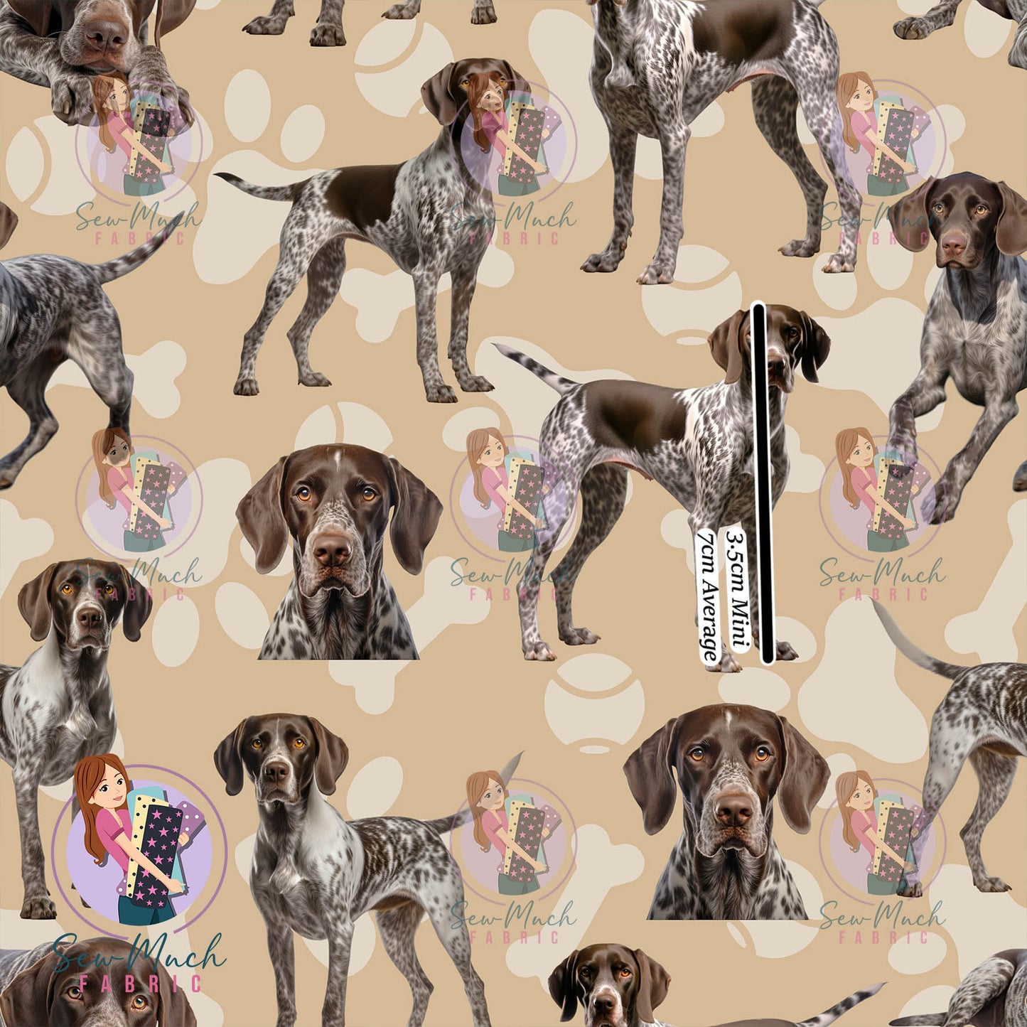 German Shorthaired Pointer | Pre-Order |