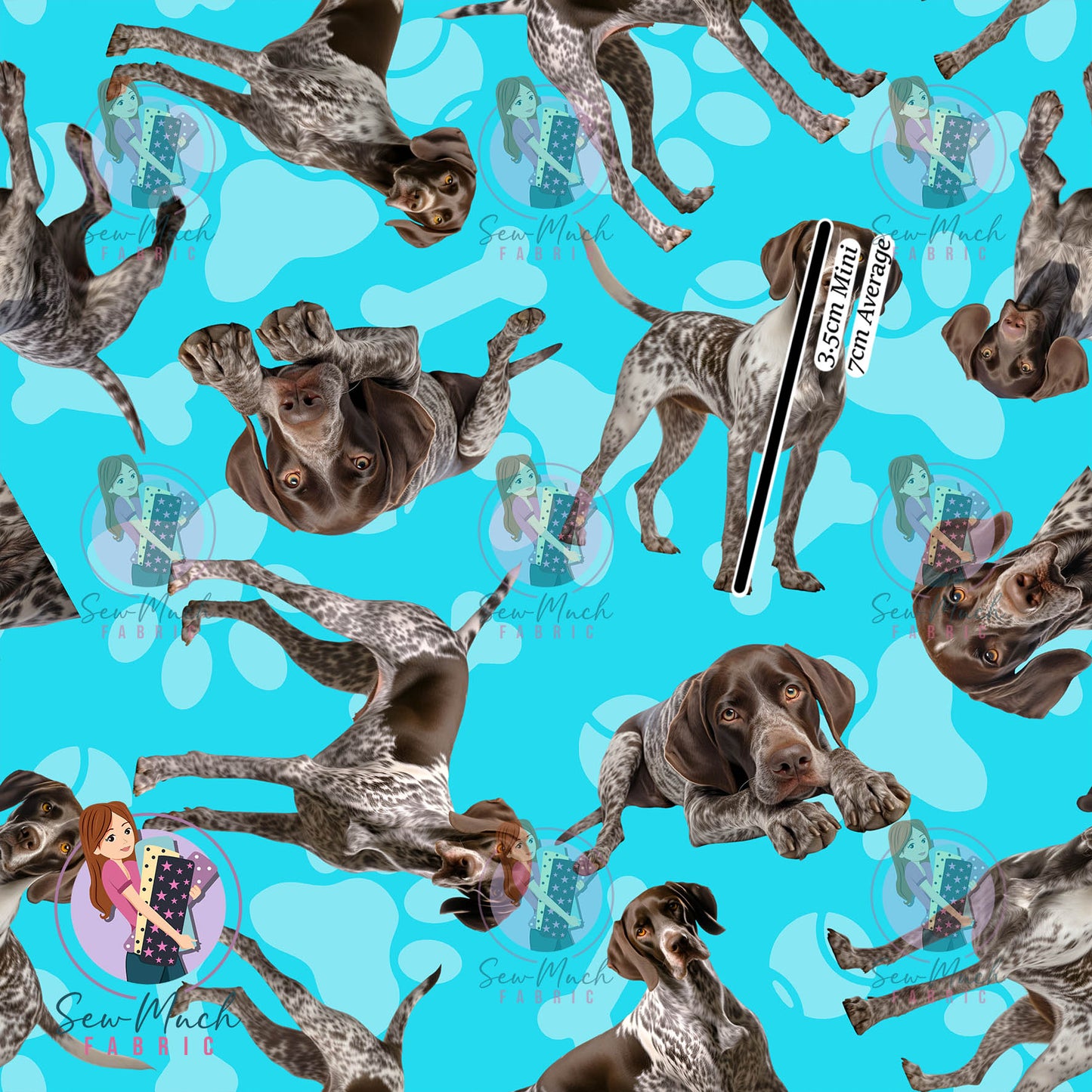 German Shorthaired Pointer 1 | Pre-Order |