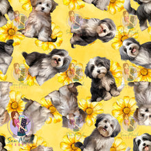 Load image into Gallery viewer, Havanese 2 | Pre-Order |