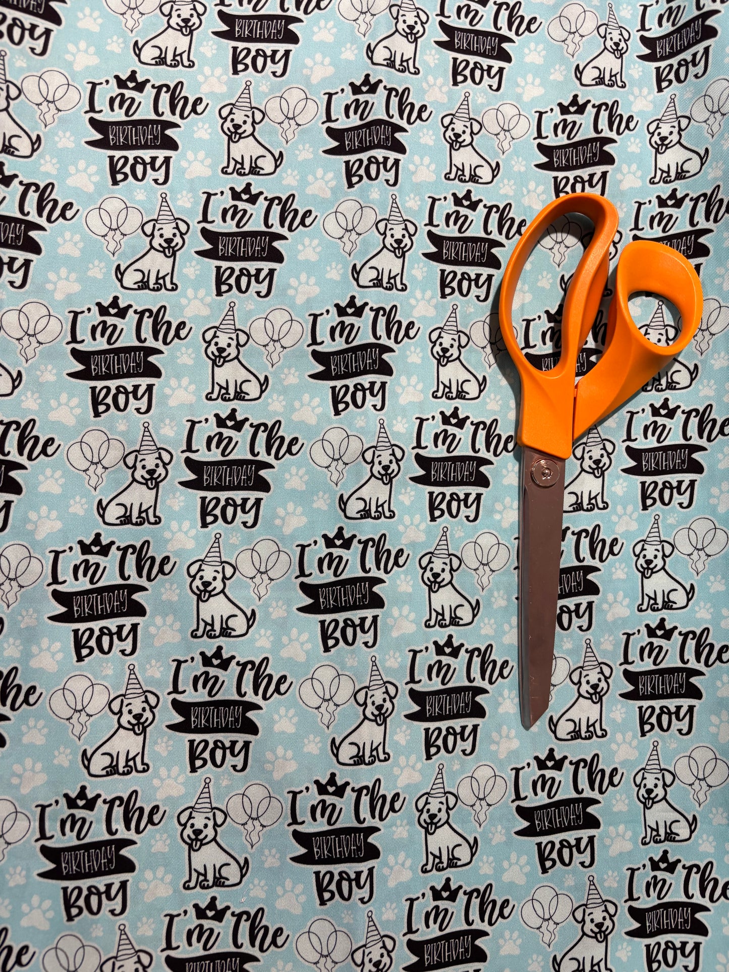 REMNANT: Birthday boy | Woven |