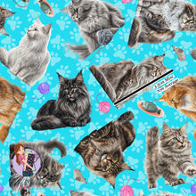 Load image into Gallery viewer, Maine Coon Cat | Pre-Order |