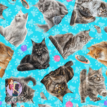 Load image into Gallery viewer, Maine Coon Cat | Pre-Order |