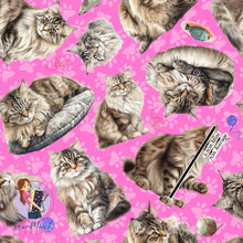 Load image into Gallery viewer, Siberian Cat | Pre-Order |