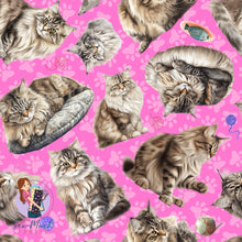 Load image into Gallery viewer, Siberian Cat | Pre-Order |