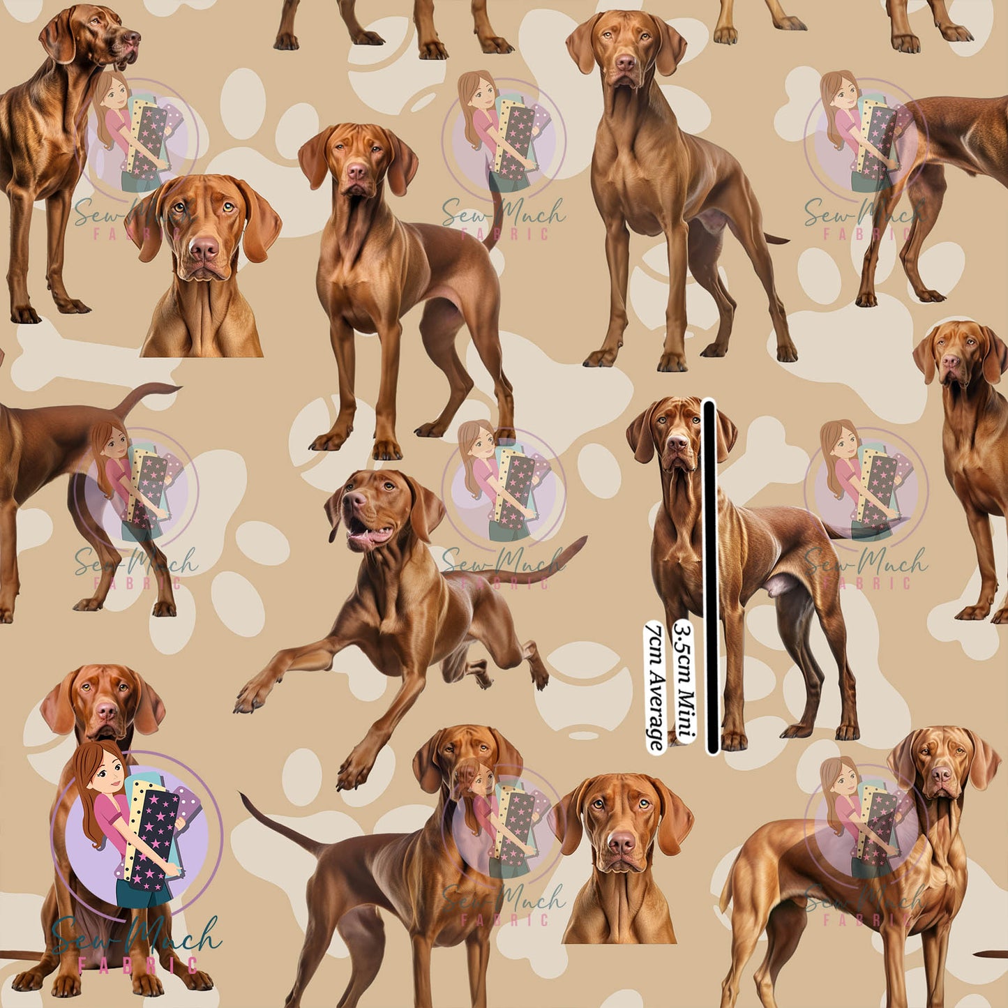 Vizsla | Pre-Order |