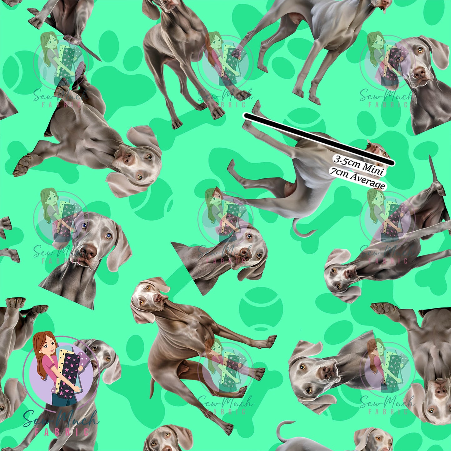 Weimaraner 1 | Pre-Order |