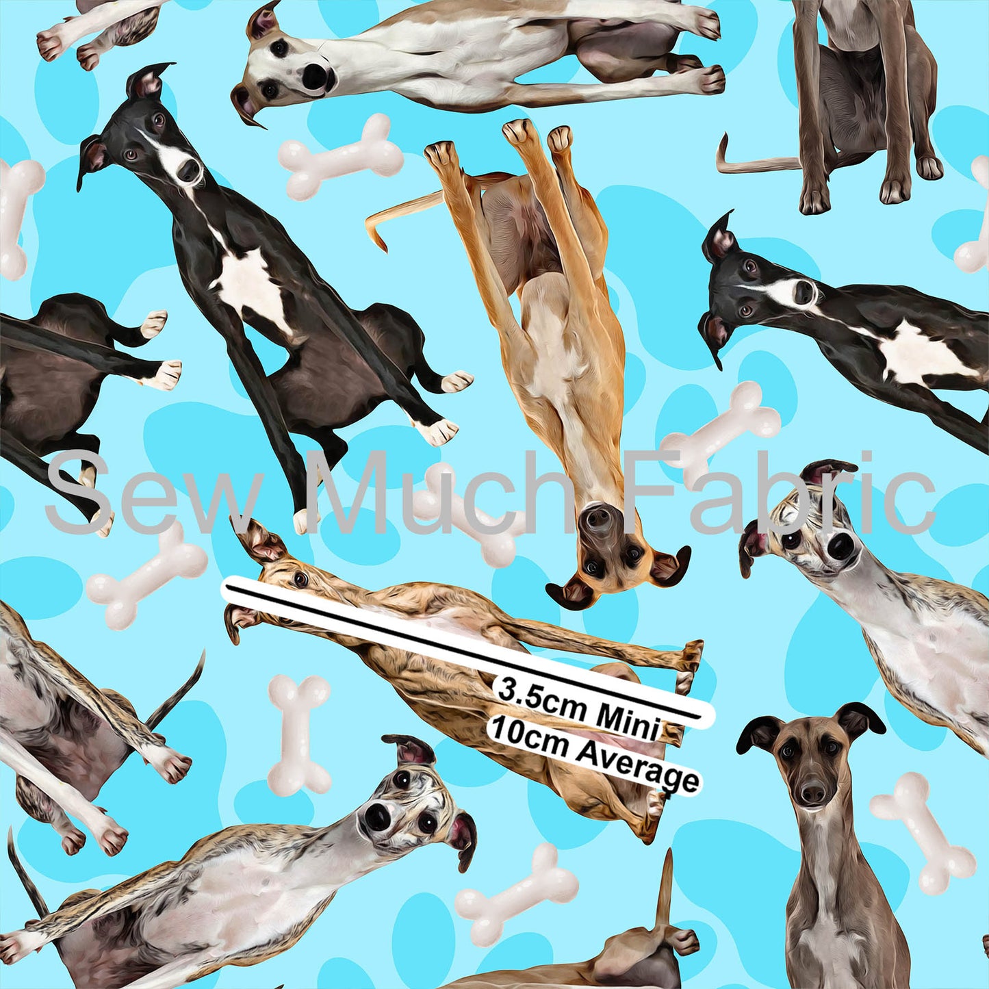 Whippet| Knit 220gsm | Retail | Average Scale