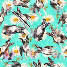 Load image into Gallery viewer, Boston Terrier 2 | Pre-Order |
