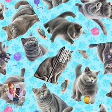 Load image into Gallery viewer, British Shorthair Cat | Pre-Order |