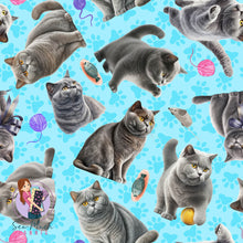 Load image into Gallery viewer, British Shorthair Cat | Pre-Order |