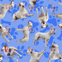 Load image into Gallery viewer, Bull Arab 1 | Pre-Order |