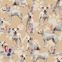 Load image into Gallery viewer, Bull Arab | Pre-Order |