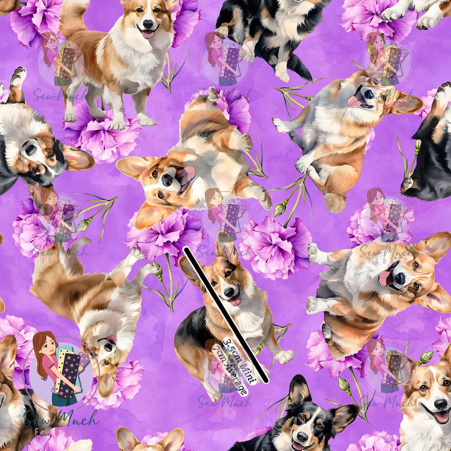 Corgi 2 | Pre-Order |