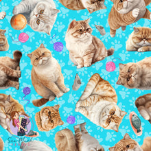 Load image into Gallery viewer, Exotic Shorthair Cat | Pre-Order |