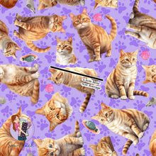 Load image into Gallery viewer, Ginger Cat | Pre-Order |