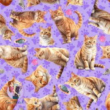 Load image into Gallery viewer, Ginger Cat | Pre-Order |