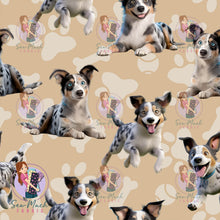 Load image into Gallery viewer, Koolie | Pre-Order |