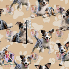 Load image into Gallery viewer, Koolie | Pre-Order |