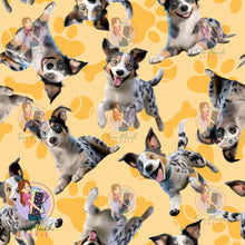 Load image into Gallery viewer, Koolie 1 | Pre-Order |