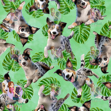 Load image into Gallery viewer, Koolie 2 | Pre-Order |