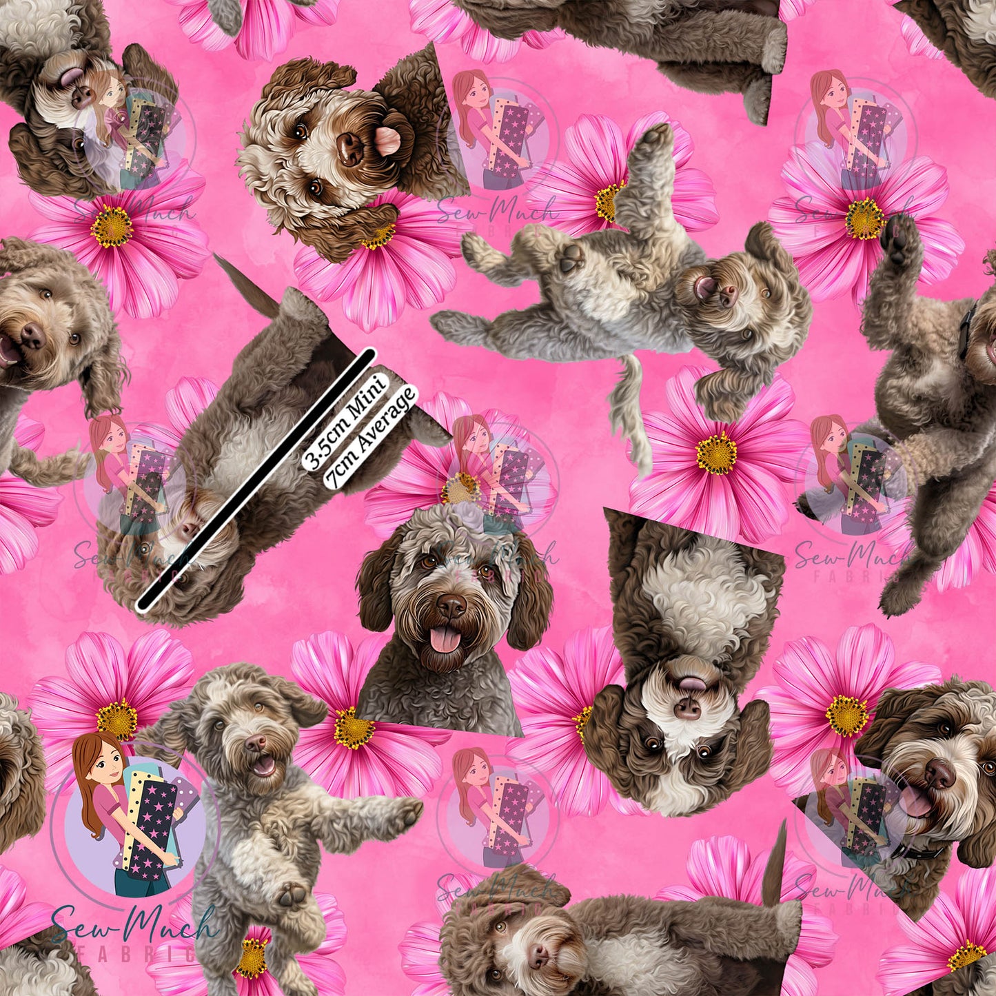 Lagotto Romagnolo 2 | Pre-Order |