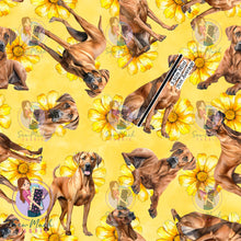 Load image into Gallery viewer, Rhodesian Ridgeback 2 | Pre-Order |